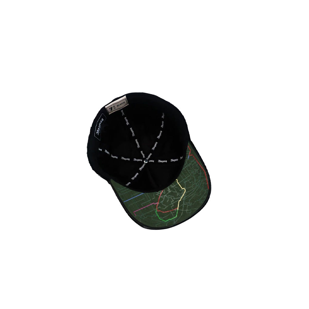 SF LION FITTED