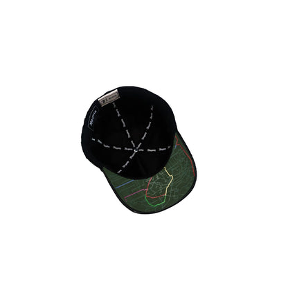 SF LION FITTED