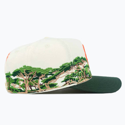 SF PINES CAP