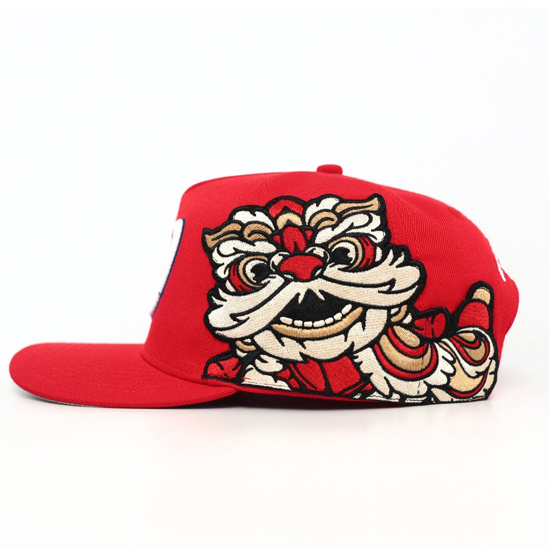 DISTRICT LION CAP