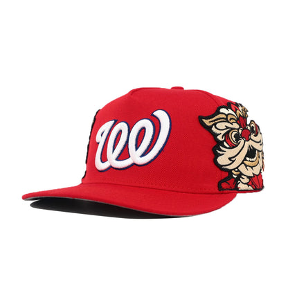 DISTRICT LION CAP